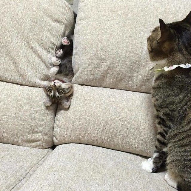no title