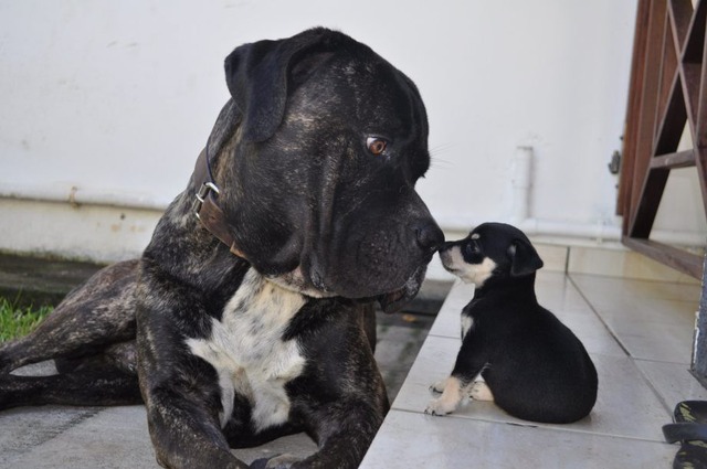 20130321223021_275_4