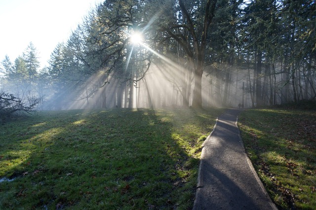 20130321223021_139_12