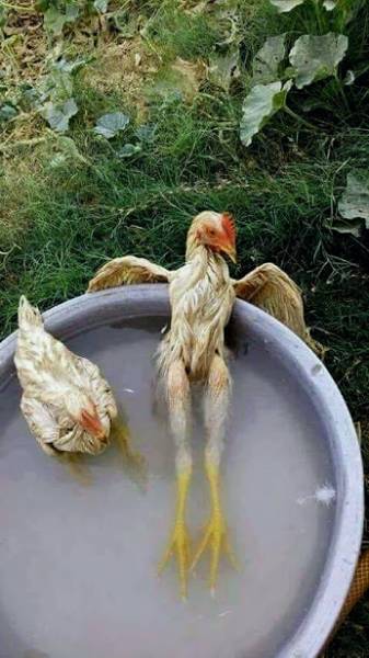 no title