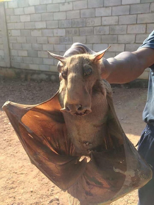 no title
