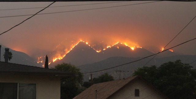 Bobcat_Fire,_Los_Angeles,_San_Gabriel_Mountains