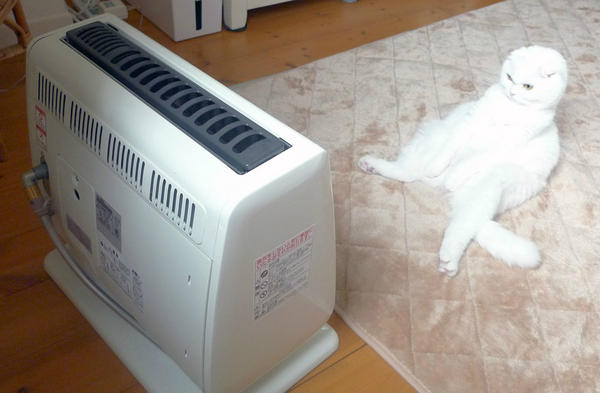 20130222181935_353_1