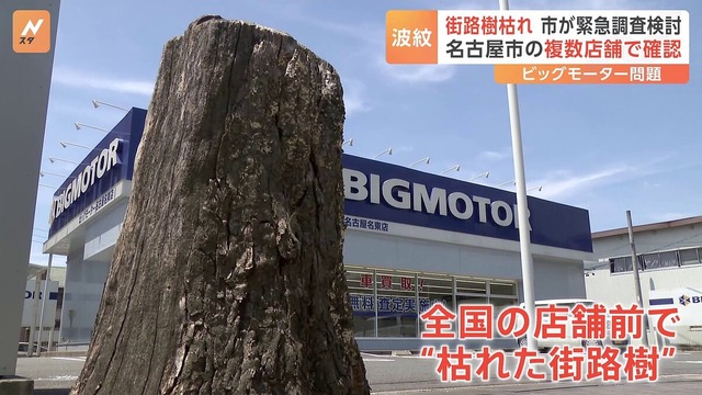 【悲報】ビッグモーター除草剤疑惑、大事になりそう 名古屋市も大規模調査へ