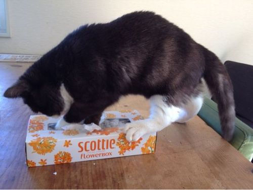 20130222181935_553_4