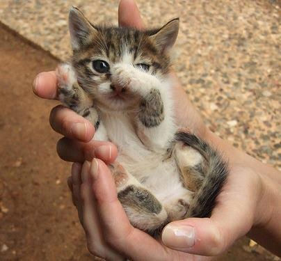 20130222181935_616_1