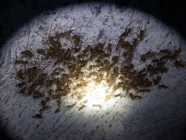 20130325122133_129_2