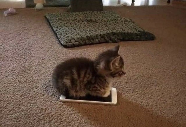 no title