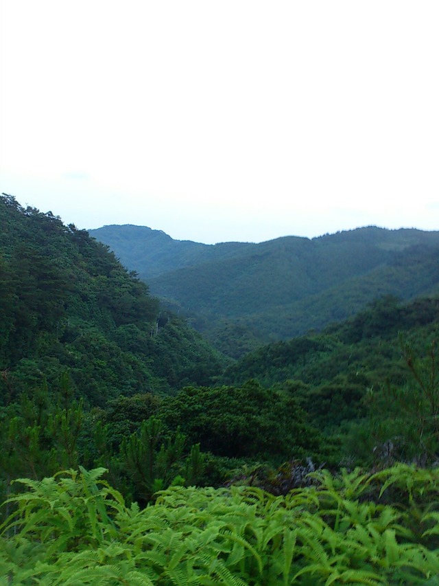 20130321180303_175_3