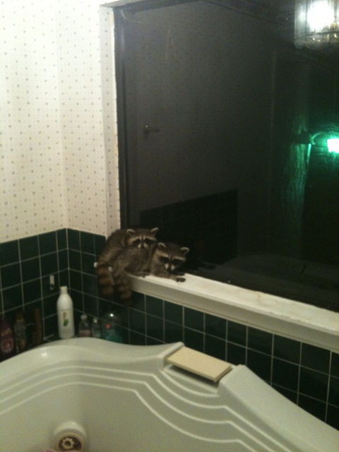 20130605170802_77_10