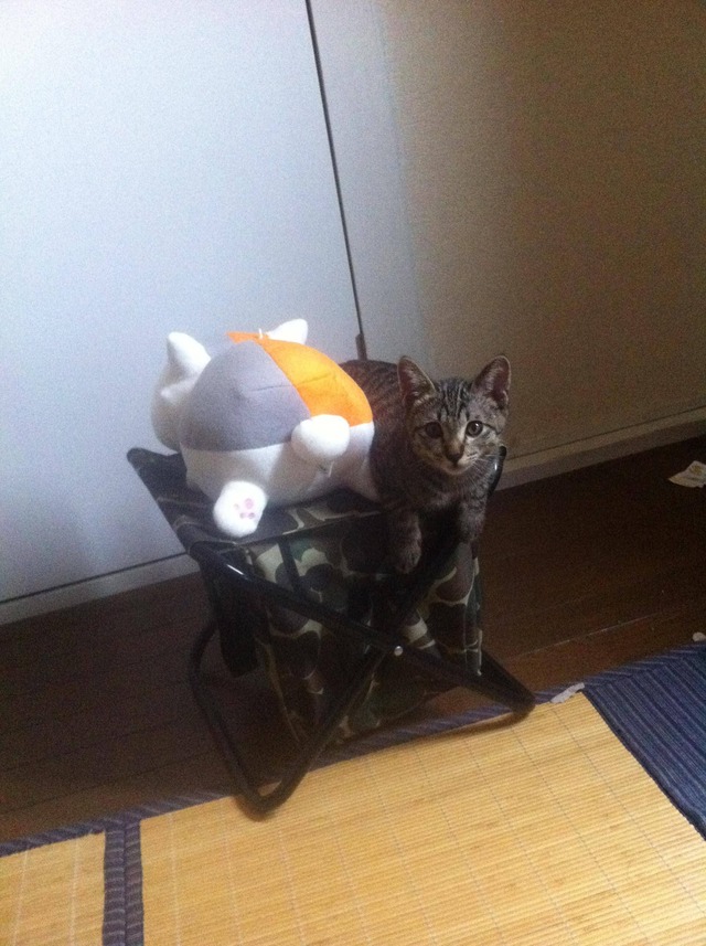 20130403130629_39_1