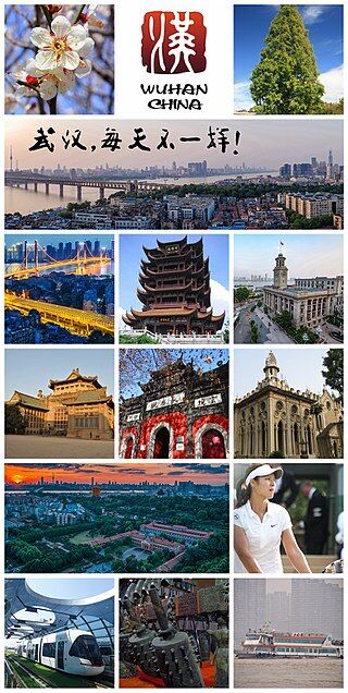 320px-Montage_of_wuhan(2017)