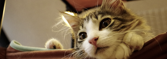 20130222181935_780_2