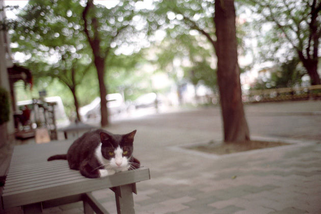 20130222181935_733_2