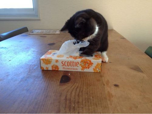 20130222181935_553_2