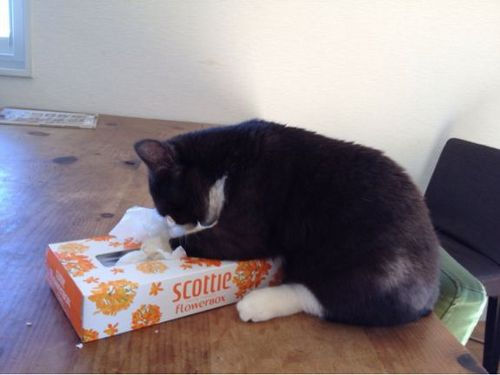 20130222181935_553_3