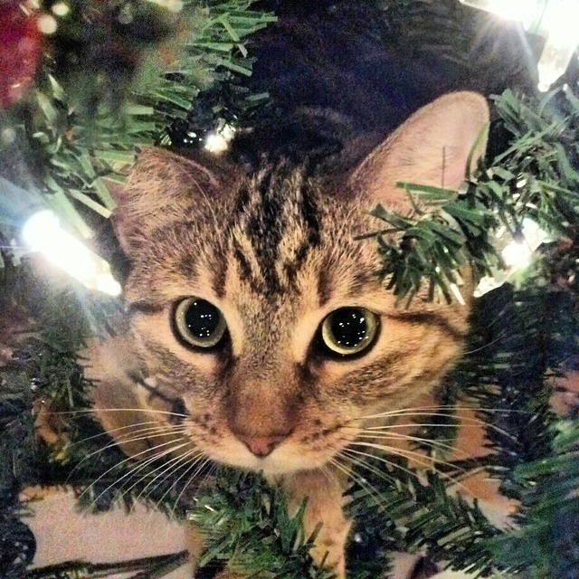 20121227043629_89_7