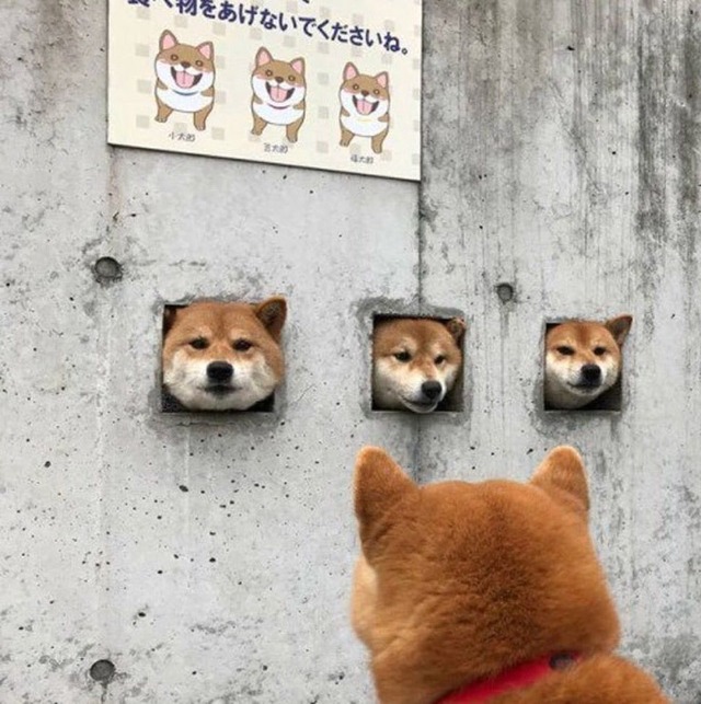 no title