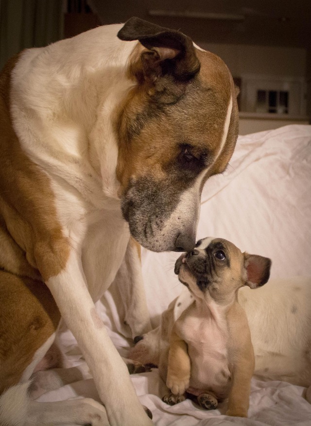 20130321223021_275_6