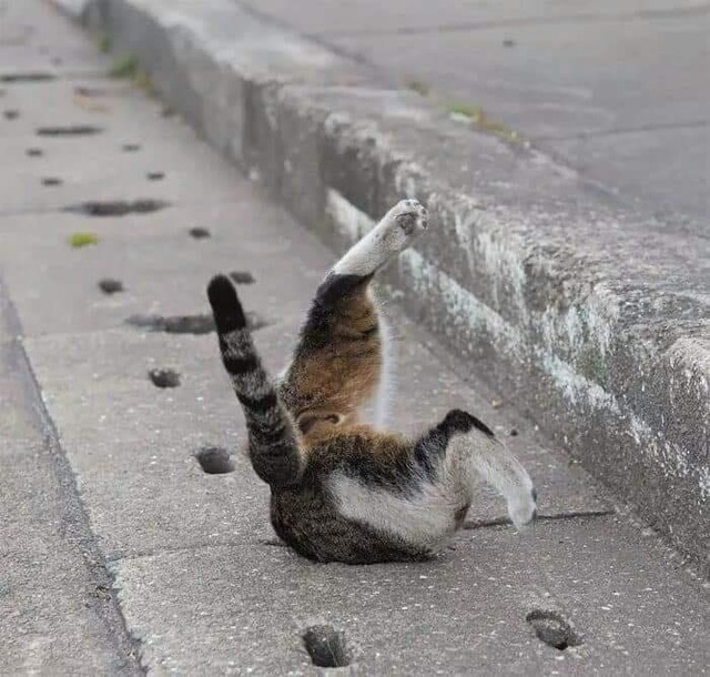 no title