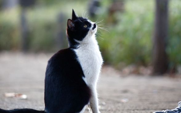 20130222181935_771_1