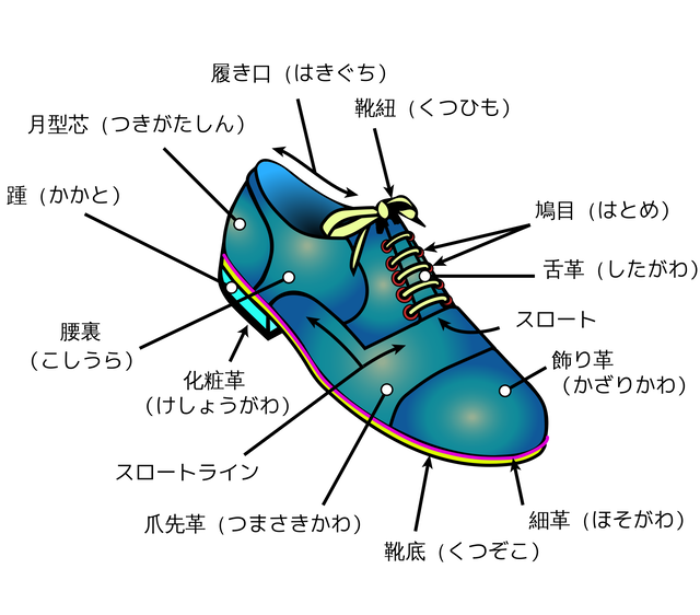 1920px-Shoe_diagram-ja.svg