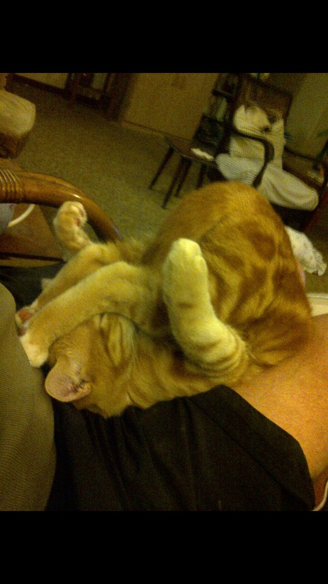 20130605160350_135_14