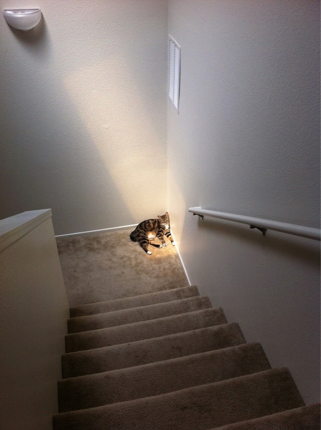 20130411151148_75_12