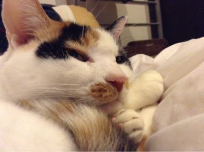 20130222181935_647_1