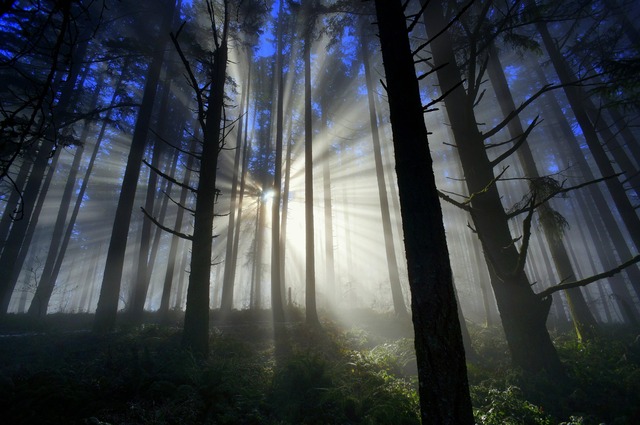 20130321223021_139_11