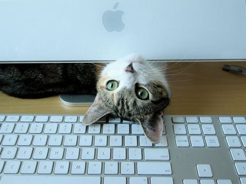 20130222181935_711_2