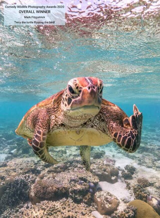 no title