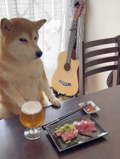 547272187_122274625904207052_3433698789472640170_n