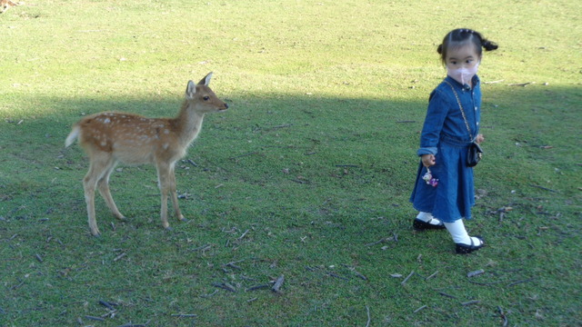 DSC03469インスタ済