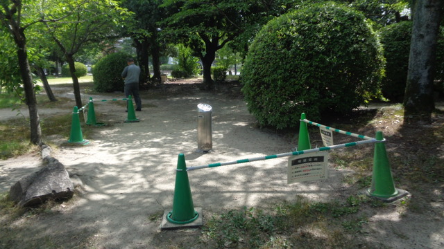DSC02436