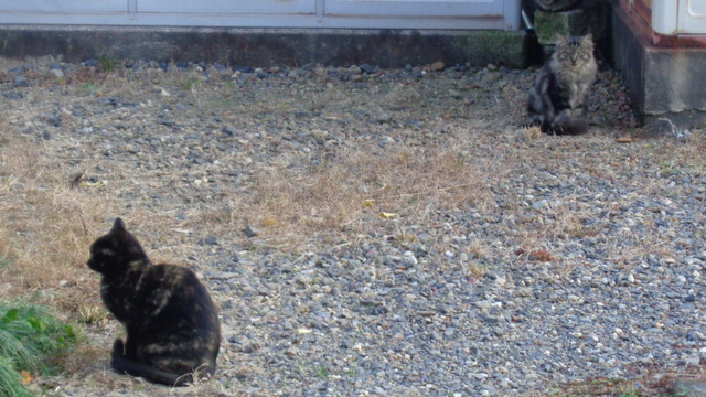 DSC01124インスタ済