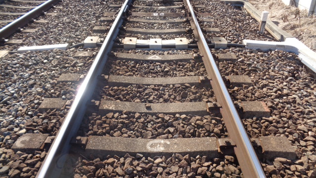 DSC01138インスタ済