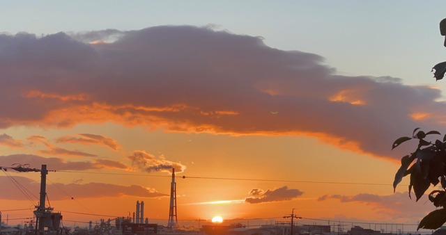 みきてぃの家？