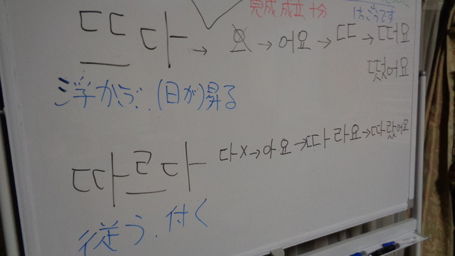 DSC02418インスタ済