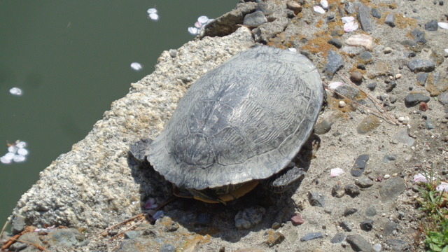 DSC01610インスタ済