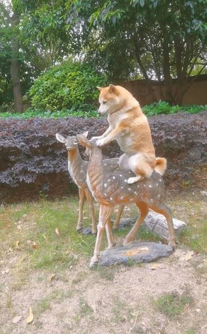 597004313_122242832348250864_7232621487268638758_n