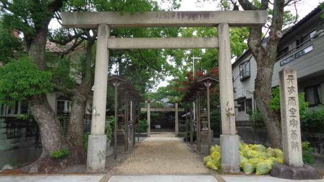 DSC01895インスタ済