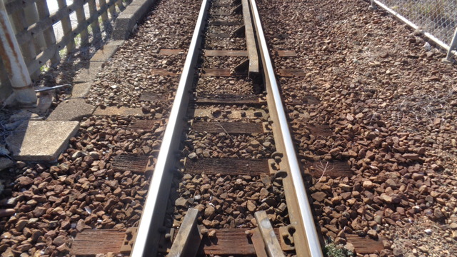 DSC01133インスタ済