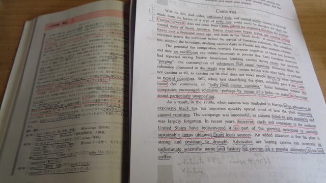 DSC01930インスタ済