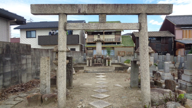 DSC08913インスタ済