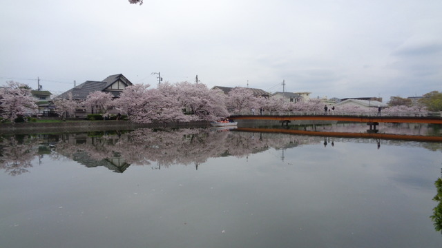 DSC07916インスタ済