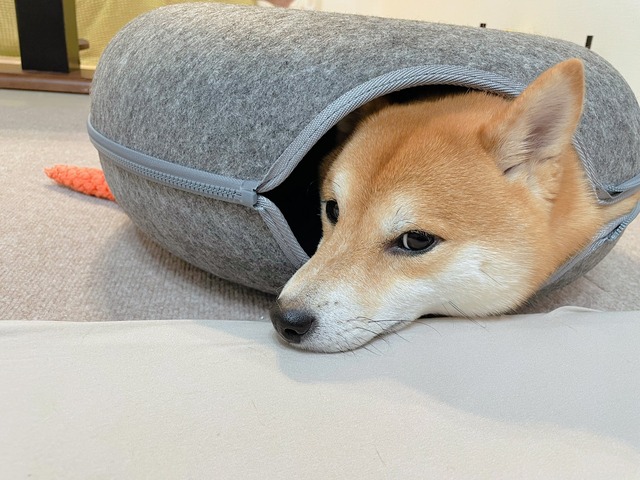 GW1hmSYXkAAoc_O