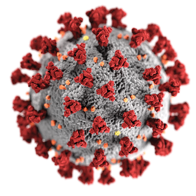 coronavirus-covid-19