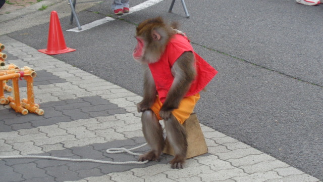 DSC01530