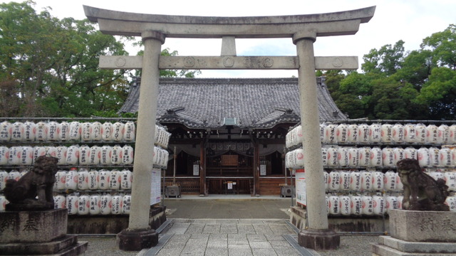 DSC00987インスタ済